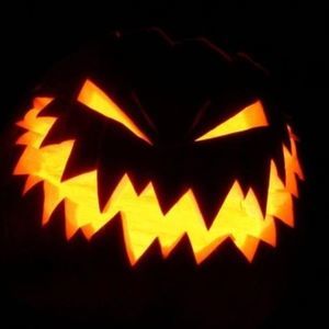 Meet your Posher, Lynn